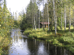 Die Sauna am Fluss
