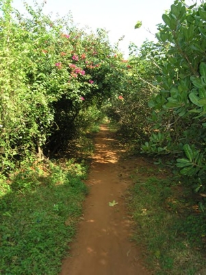 Sandweg bei Ellen