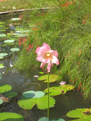 Blumen