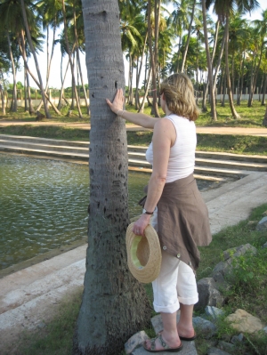 Sigi