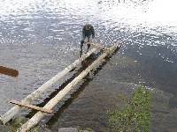 Badesteg